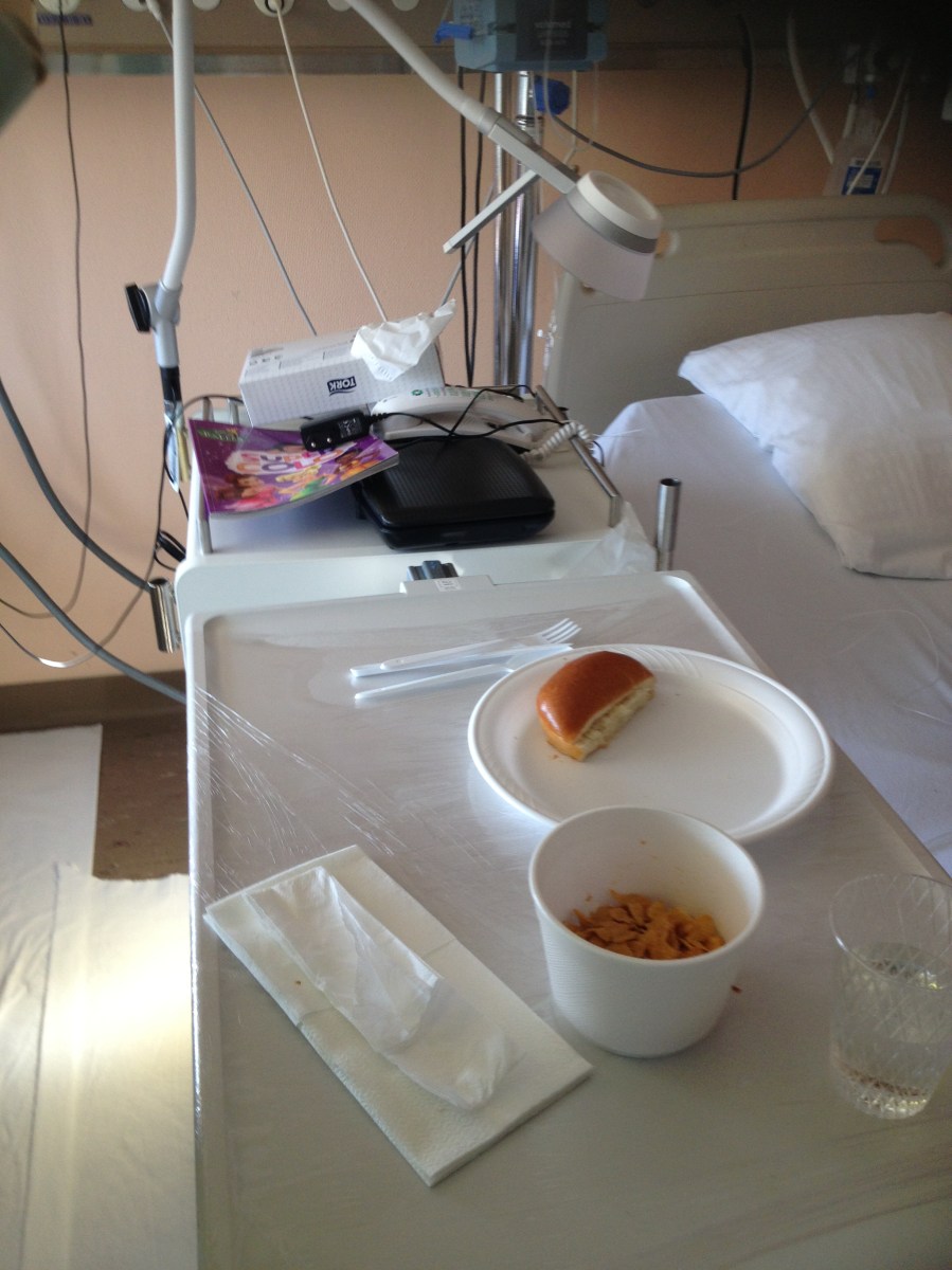 Toute la nourriture est donnée dans des récipients en plastique qui seront détruit.